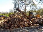 How to Prepare for a Christmas Land Clearing Service?