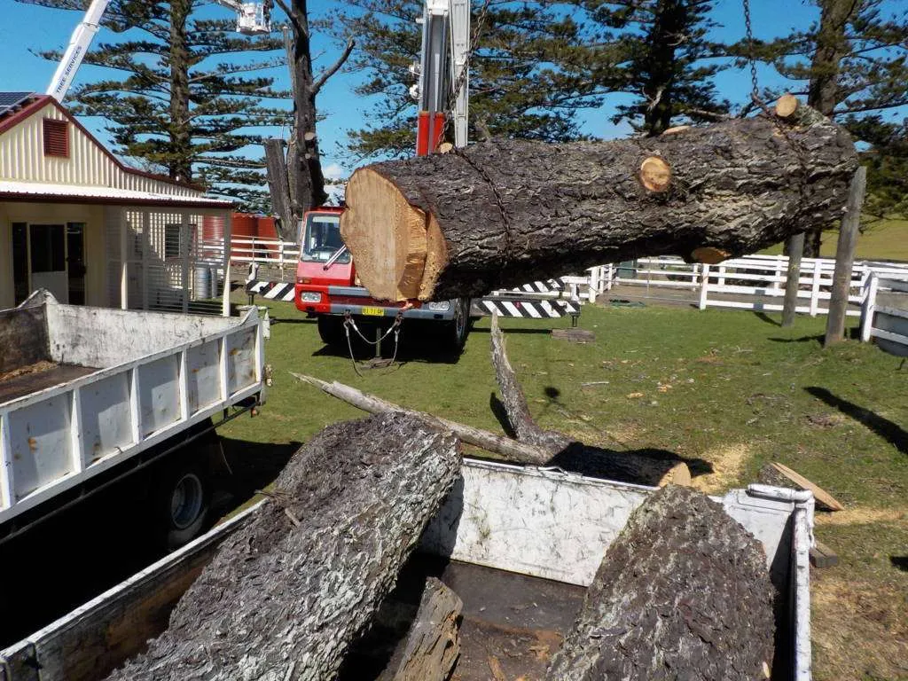 Why are Land Clearing Services Important?